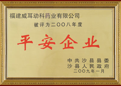 2008年度平安企业